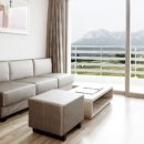 소노캄 델피노 A . B 이미지