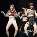 펀치 이미지