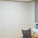 삼일이용