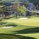 골프존25 이미지