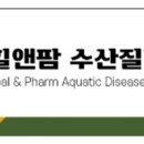 팜앤팜동물병원 이미지