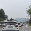 푸른솔 | 2026 이천도자기축제 개막 주말 후기 : 솔솔푸른솔, 세라믹몽, 그루