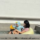 [경주] 27개월 아기랑 경주 숙소추천,스테이해담