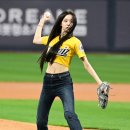 카시아 이미지