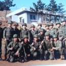 유로애견샵 이미지