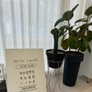 민래쉬 이미지