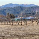 정동1교 이미지