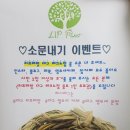 리프패럿대구