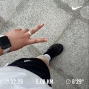 러브장 | 5월 4주차 / 한신포차, 아트박스, 슬로우캘리, 러닝5km, 마녀스프, 유스커피, 마트로탑동점, 해주냉면...