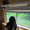 순천만 그리고 나 이미지