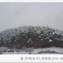 부자양봉원 이미지