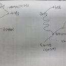 장백국제여행사 이미지
