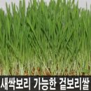 예지식품 이미지