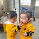 인동36길-23 네이버블로그