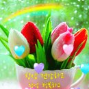 📣 12월 24일 (목요일) 간추린 뉴스 이미지