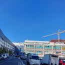 육성식품40호
