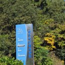 보은국민체육센터 | [제주] 수영원정!!제주국민체육센터 후기