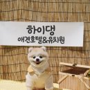 하이댕 이미지