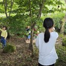 다목초등학교 이미지