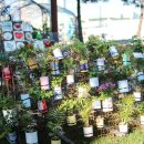 연일백합유치원 이미지