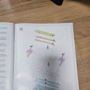 아이들과 함께 하는 3D 퍼즐 배만들기 퀸 앤즈 리벤지