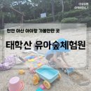 반디숲어린이집 | 천안 아산 아기랑 가볼만한 곳, 태학산 유아숲체험원(야외 숲놀이터)