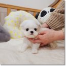 강송로74번길 이미지