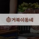 거북이집 이미지