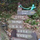 가우도 | 전남강진군 여행 "가우도 출렁다리 "가족여행 후기