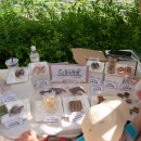 용인시기흥노인복지관 장수하개 이미지