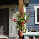 희정이네농장 이미지