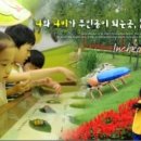 나비공원　 이미지