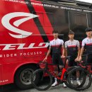 금산인삼 이미지