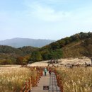 한국의 그랜드 캐년과 억새꽃을 만나는 포천 여행 이미지