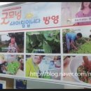 태양추어탕 이미지