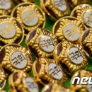 비올라의원