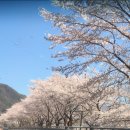풀꽃민박 이미지