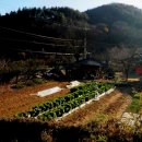 라온사랑부동산공인중개사사무소 이미지