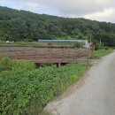 상주화서우체국 네이버블로그