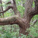 팡팡랜드 이미지