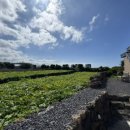 성산OK마트 이미지