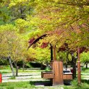 달궁자동차야영장 이미지