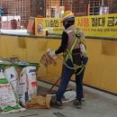 성강인력개발