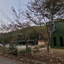 국립용현자연휴양림야영장 이미지