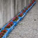 지내마을회관 이미지