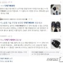 네타