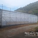 형태농장 헤드라인제주
