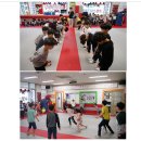 브레인박사태권도 이미지