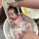 목욕농장 | 뉴코코맘 신생아 아기욕조 사용 후기｜신생아 목욕 방법 목욕통 대야 2개 필요한 이유