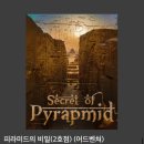 콜드케이스인하대 이미지